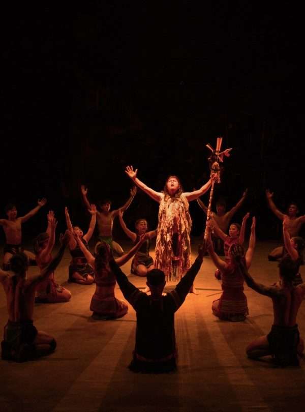 teh dar show hoi an - a must see show in hoi an. hoi an fairy tour
