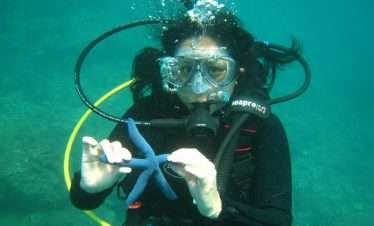 cham island diving and snorkeling in hoi an, fun acitivities in hoi an, hoi an fairy tour