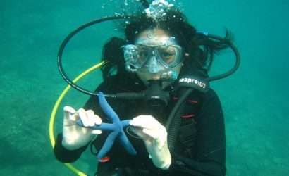 cham island diving and snorkeling in hoi an, fun acitivities in hoi an, hoi an fairy tour