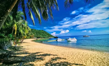 cham island diving and snorkeling in hoi an, fun acitivities in hoi an, hoi an fairy tour