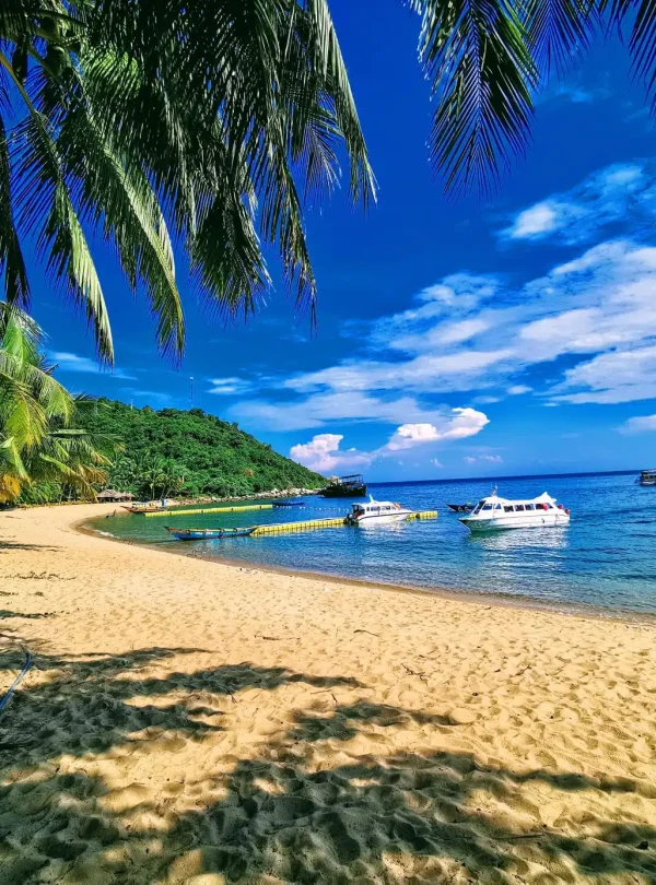cham island diving and snorkeling in hoi an, fun acitivities in hoi an, hoi an fairy tour