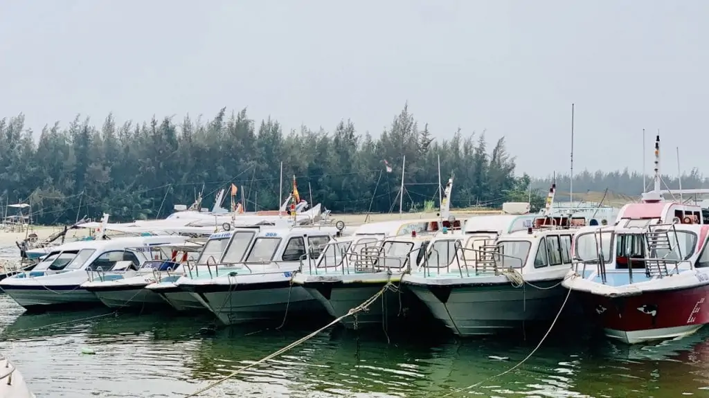 Fast boat to Cham Island - How to go to Cham island