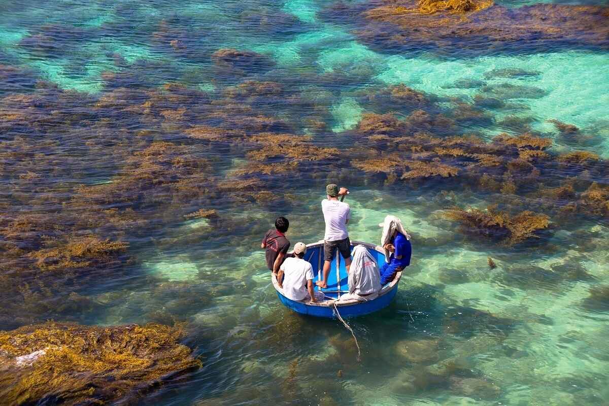 Ly Son Island from above