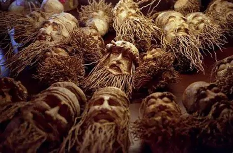 Hoi An bamboo root sculpture class - Hoi An Fairy Tour - Tour/show