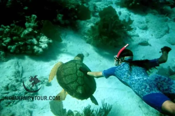 Things to do in Hoi An
