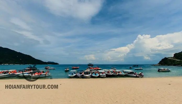 cham island - Detail guide 2024