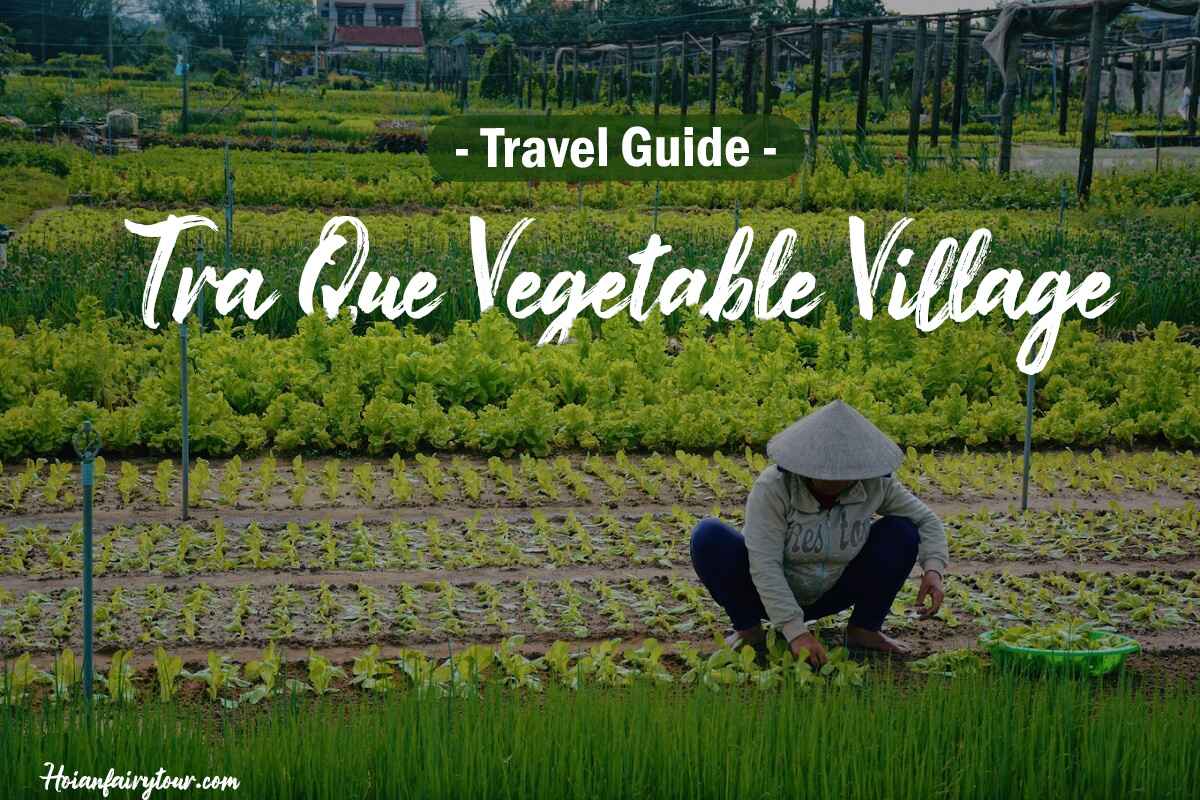 Hoi An Vegetable village - Tra Que vegetable village travel guide